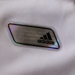 2011-13 Home, hologram